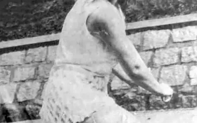 Suzana Petersen